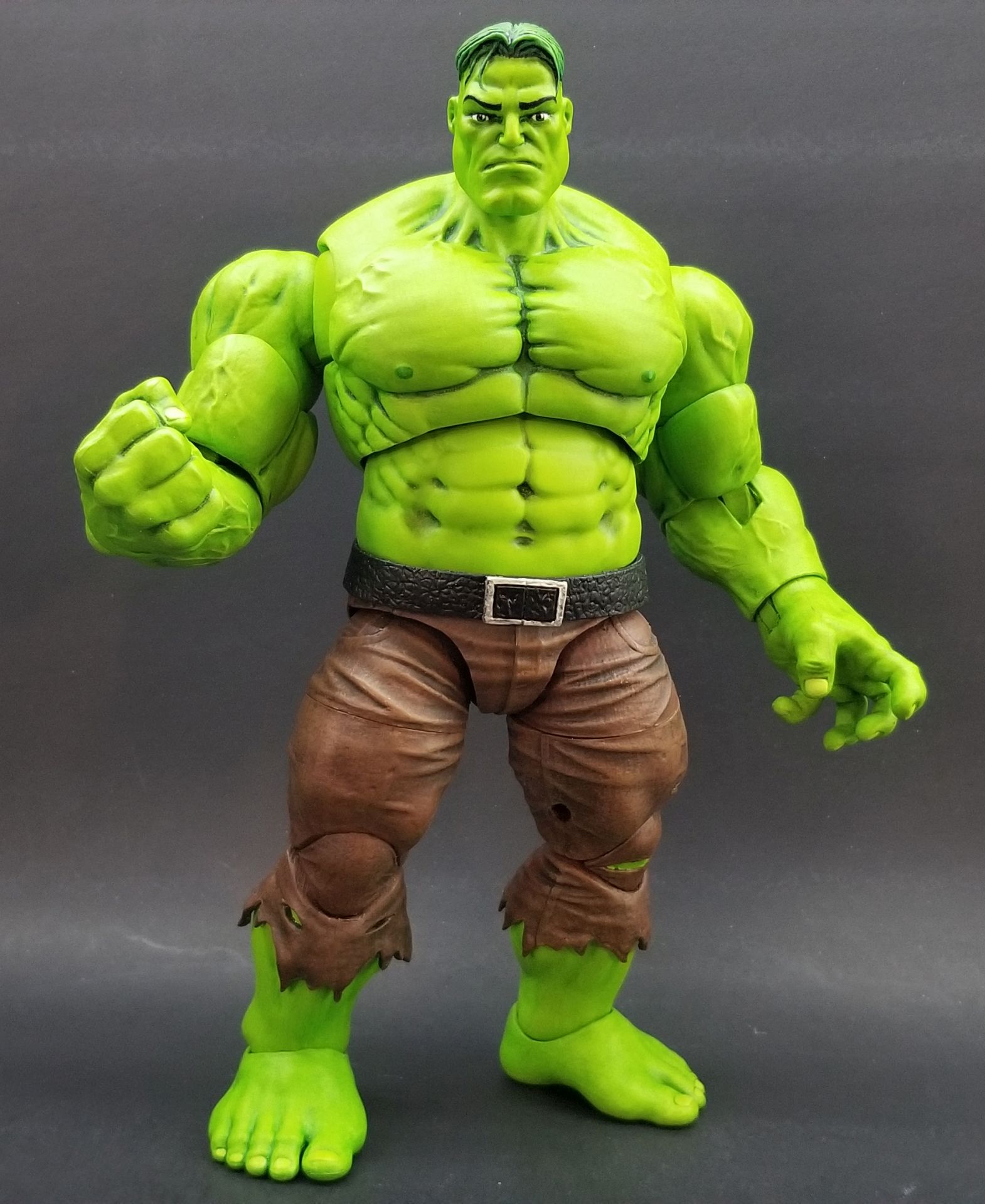 Custom Marvel Legends Merged Hulk - 01.jpg