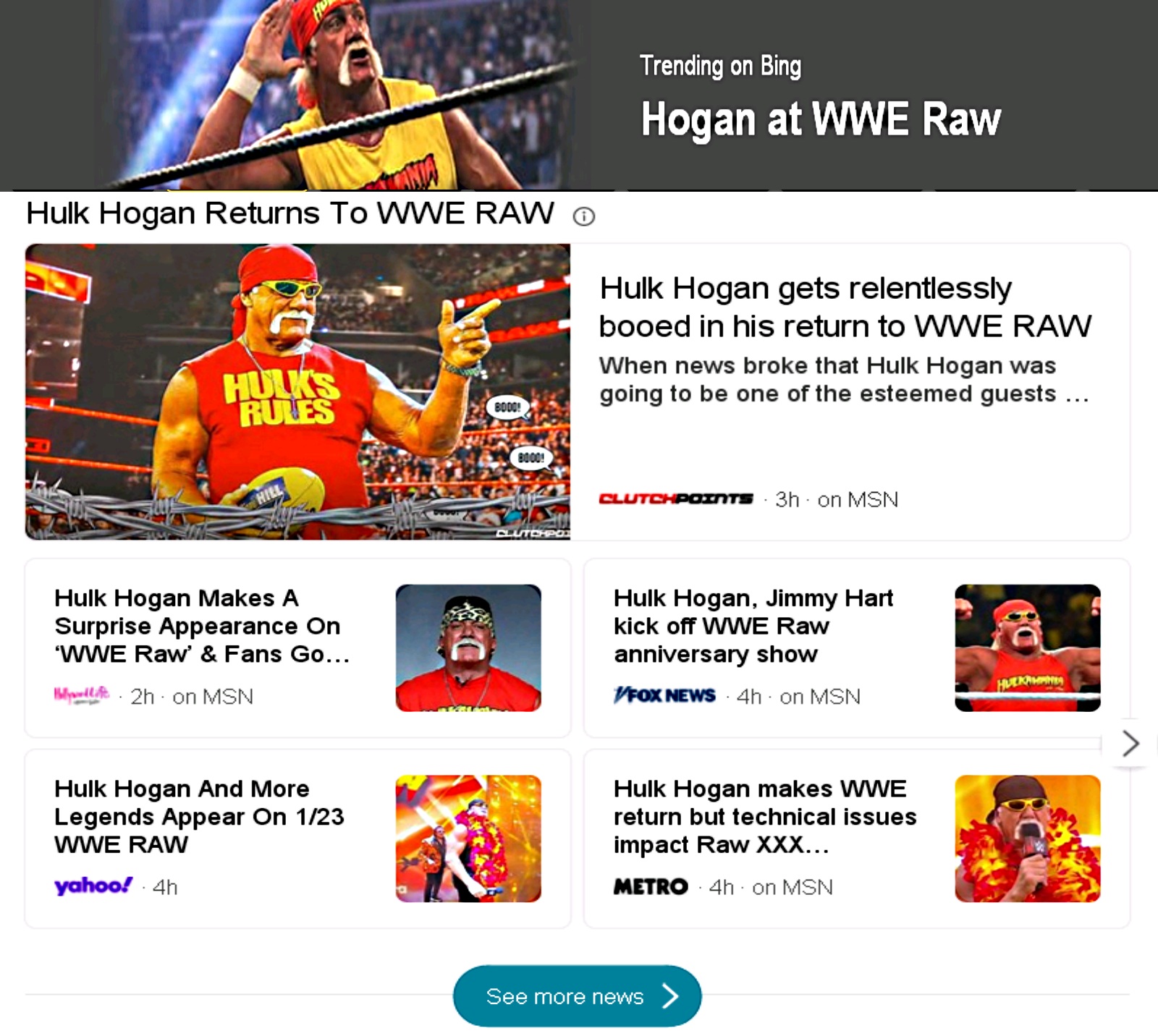 Hulk Hogan RAW XXX 1.jpg