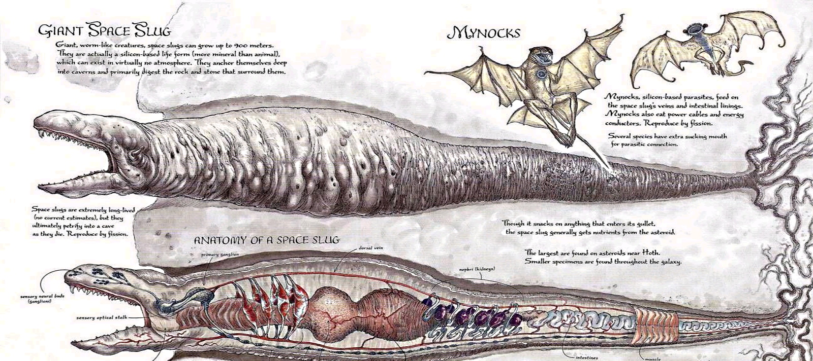 SW Space Slug 2.jpg