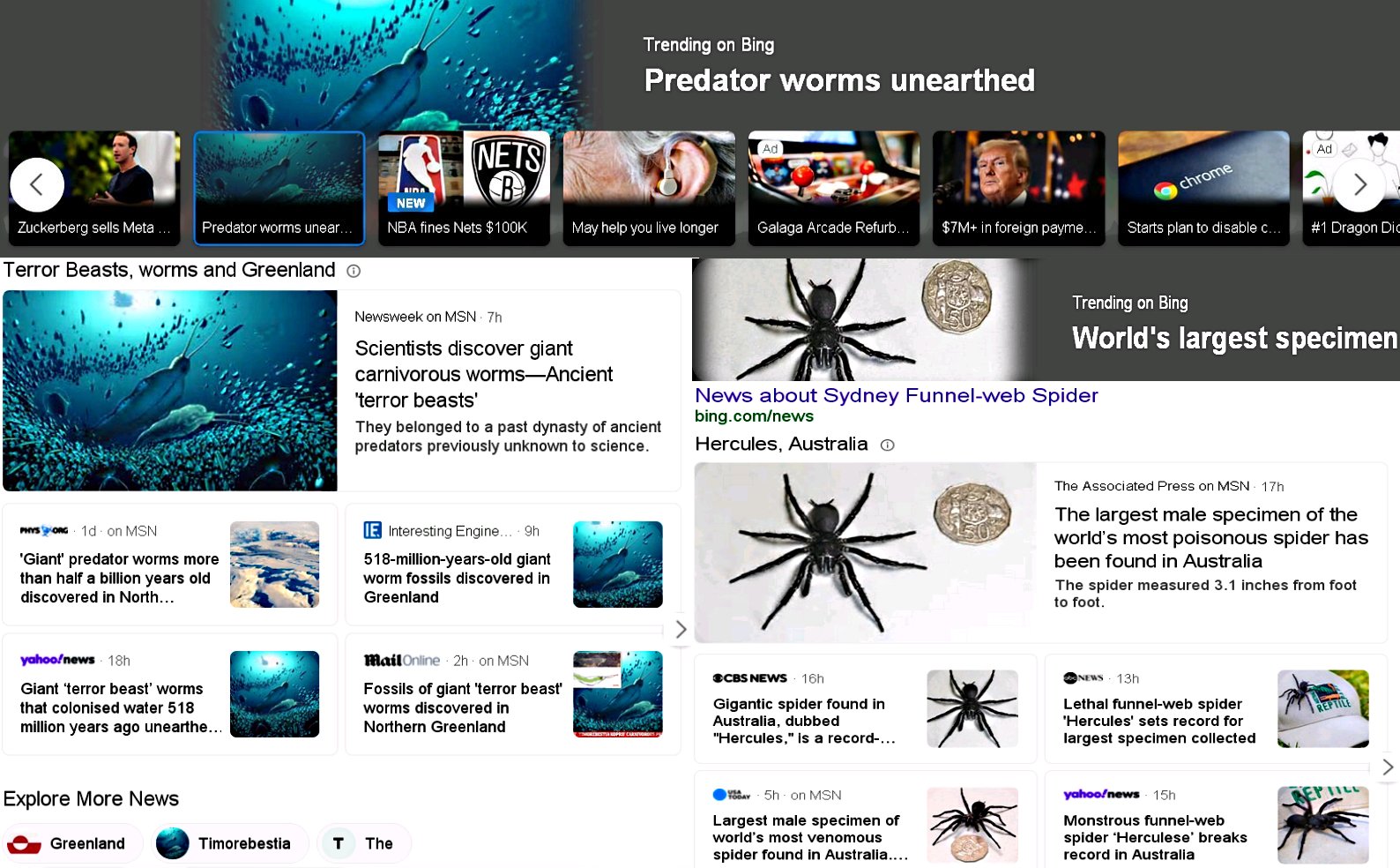 Terror Worms  & Funnel Spider 1.jpg